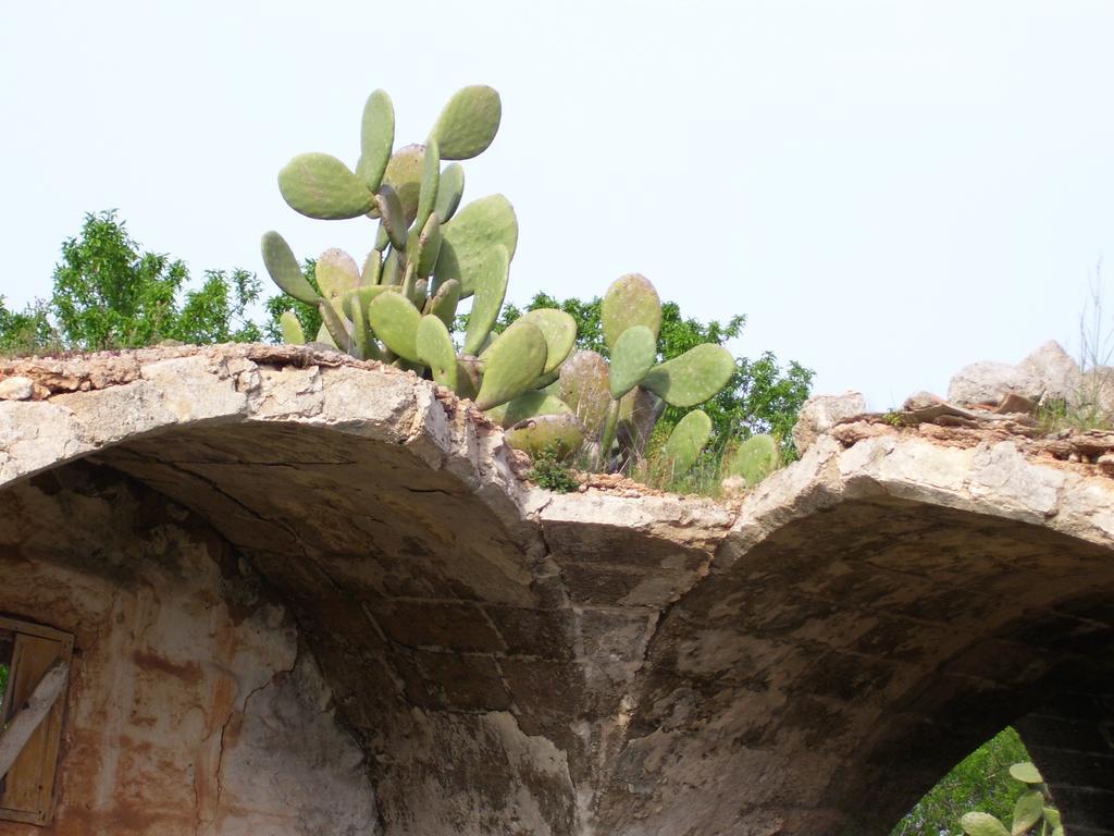 לבראנו Villa Ghetta Country House מראה חיצוני תמונה