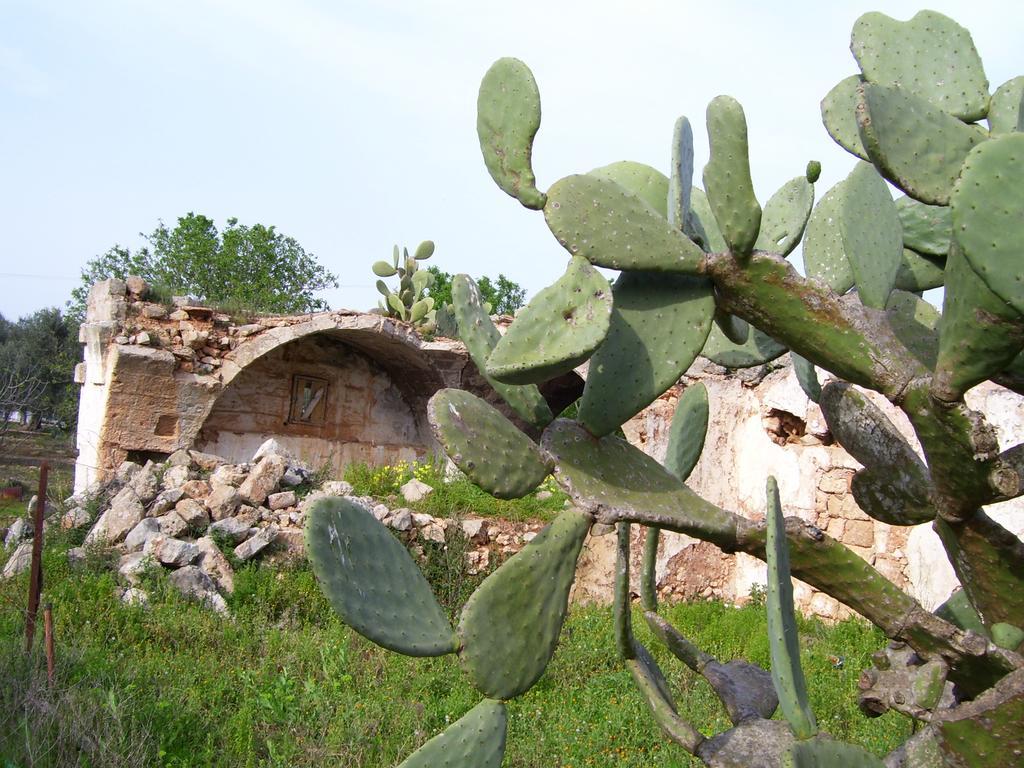 לבראנו Villa Ghetta Country House מראה חיצוני תמונה