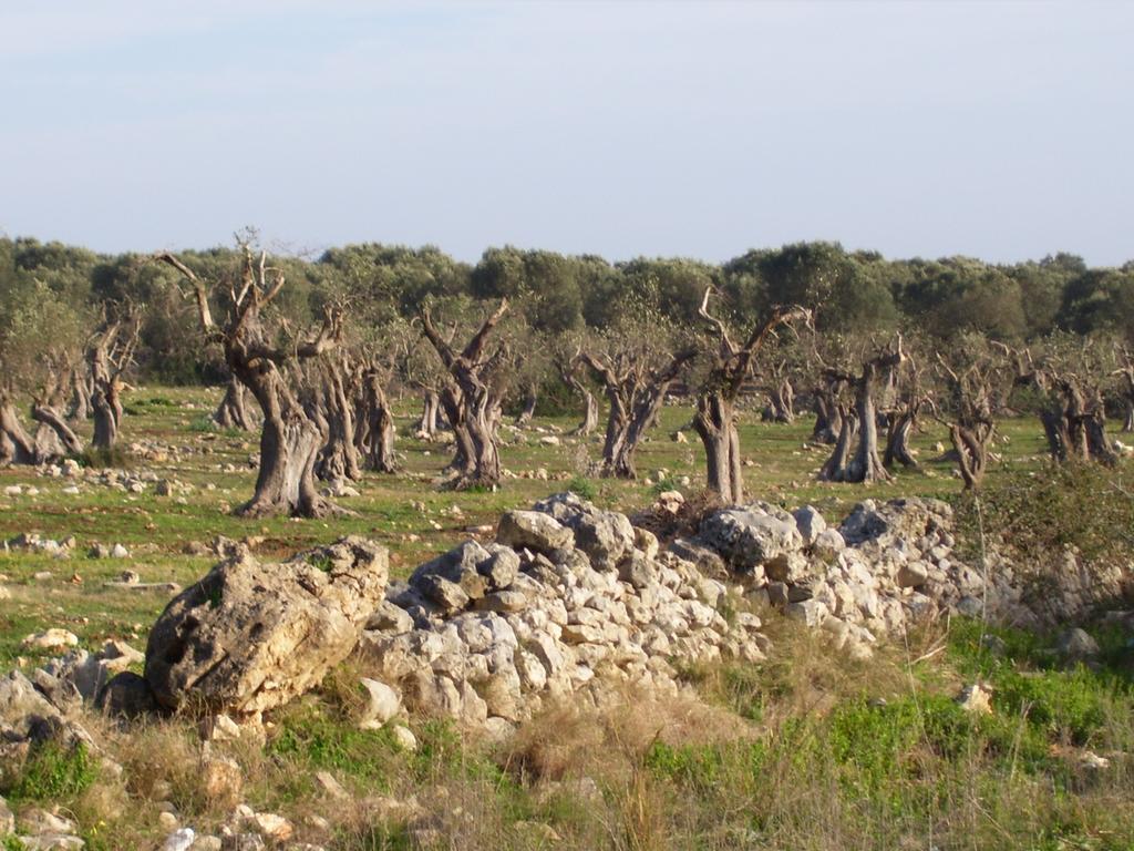 לבראנו Villa Ghetta Country House מראה חיצוני תמונה